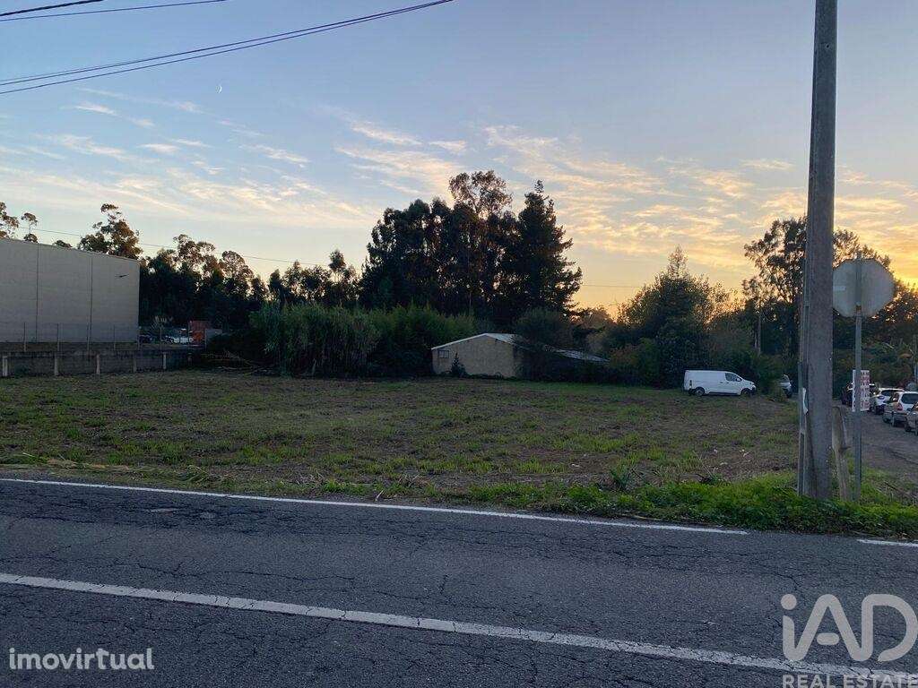 Terreno Agrícola em Bustos, Troviscal e Mamarrosa - Grande imagem: 2/5
