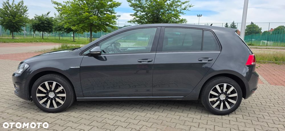 Volkswagen Golf - 12