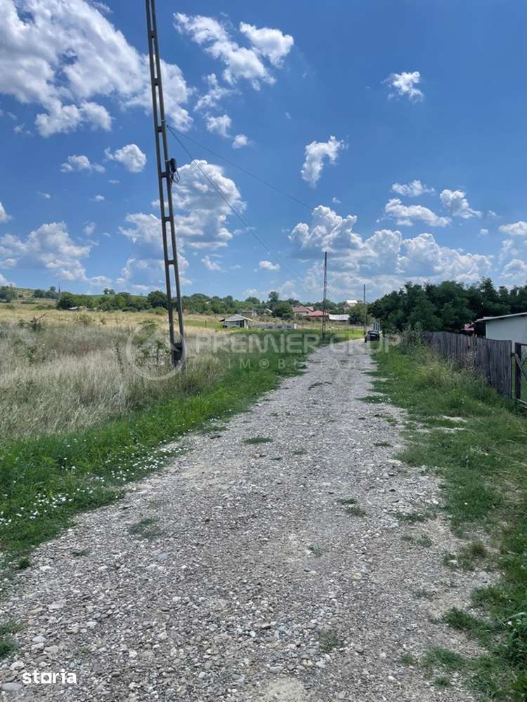 Teren extravilan 4.500mp, Miroslava - Imagine principală: 3/6
