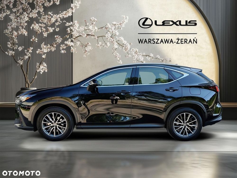 Lexus NX 350h Elegance 2WD - 4