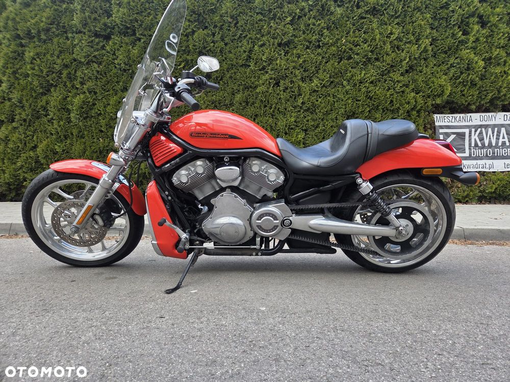 Harley-Davidson Softail V-Rod - 10