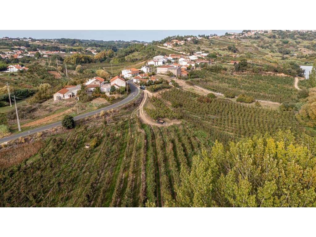 Terreno Rústico de cultivo ' Bernarda' - Grande imagem: 3/12