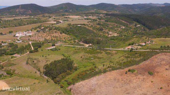 Monte com 6 Hectares e Projeto de Ampliação em São Teotónio - Grande imagem: 2/4