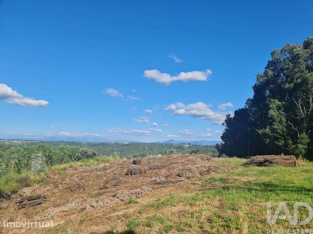 Terreno para construção em Santa Comba Dão e Couto do Mosteiro - Grande imagem: 3/27