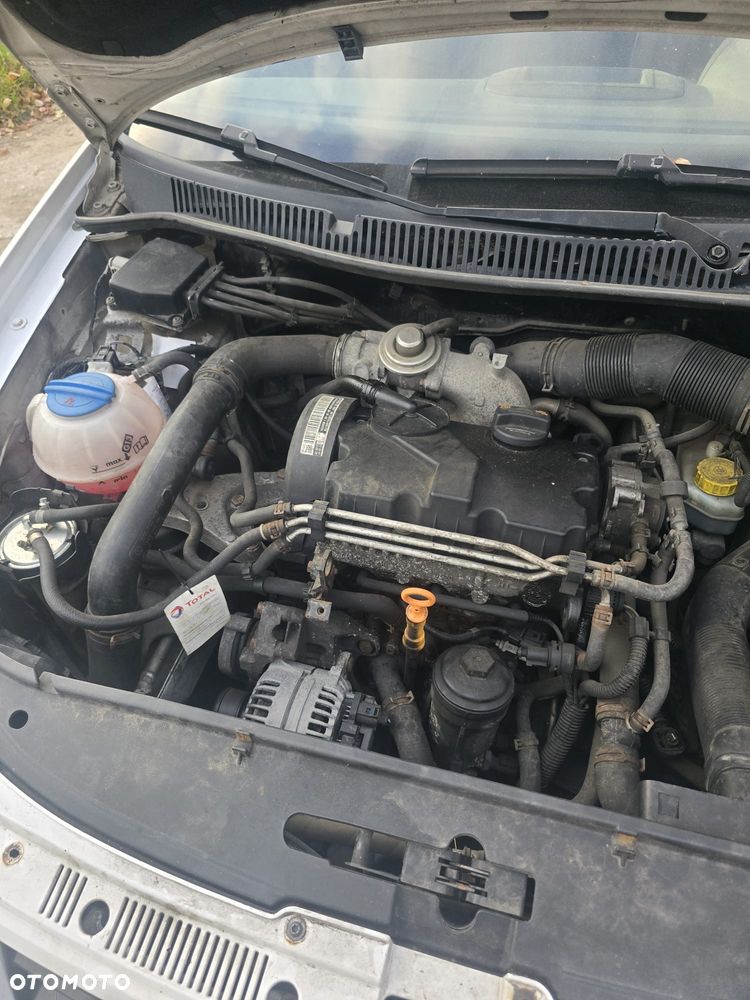 Volkswagen Polo - 8