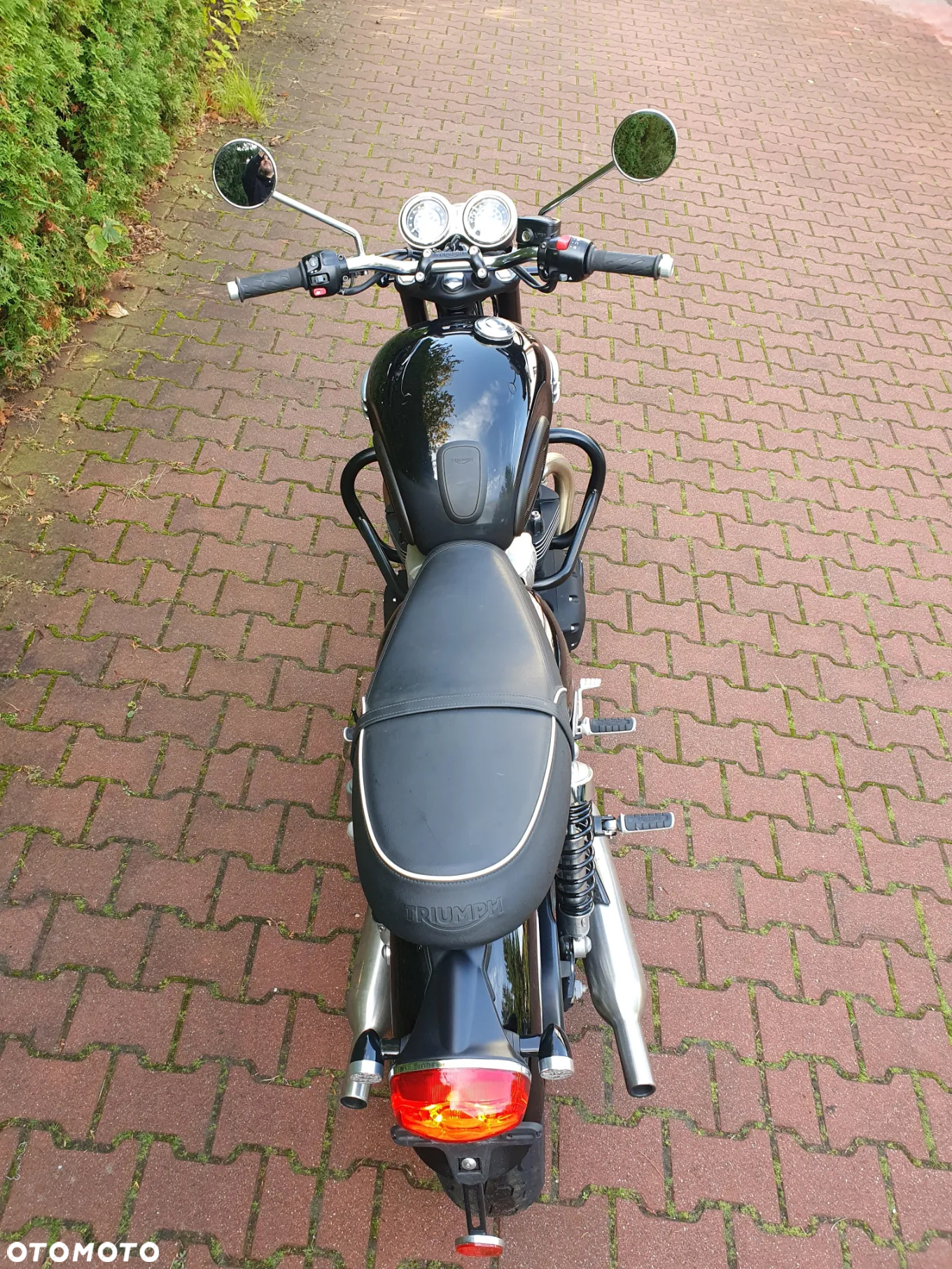 Triumph Bonneville - 8