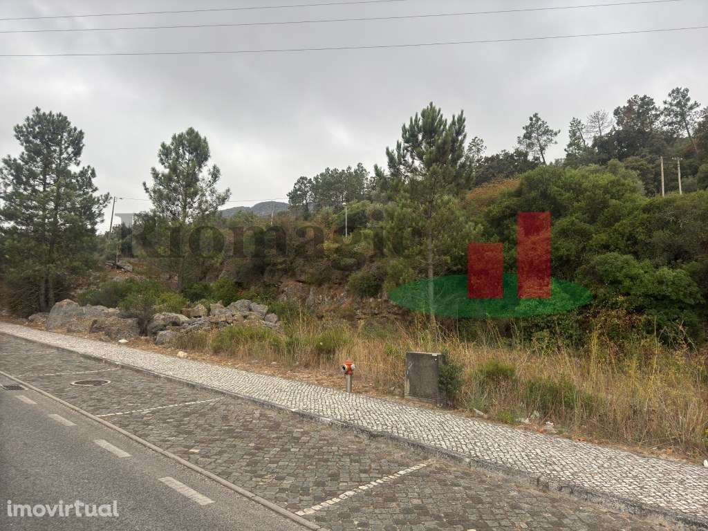 Terreno - Alcanena ***RIOMAGIC*** - Grande imagem: 4/6