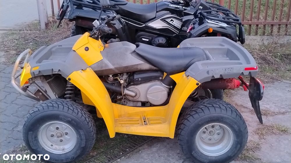 Kawasaki Brute Force - 33