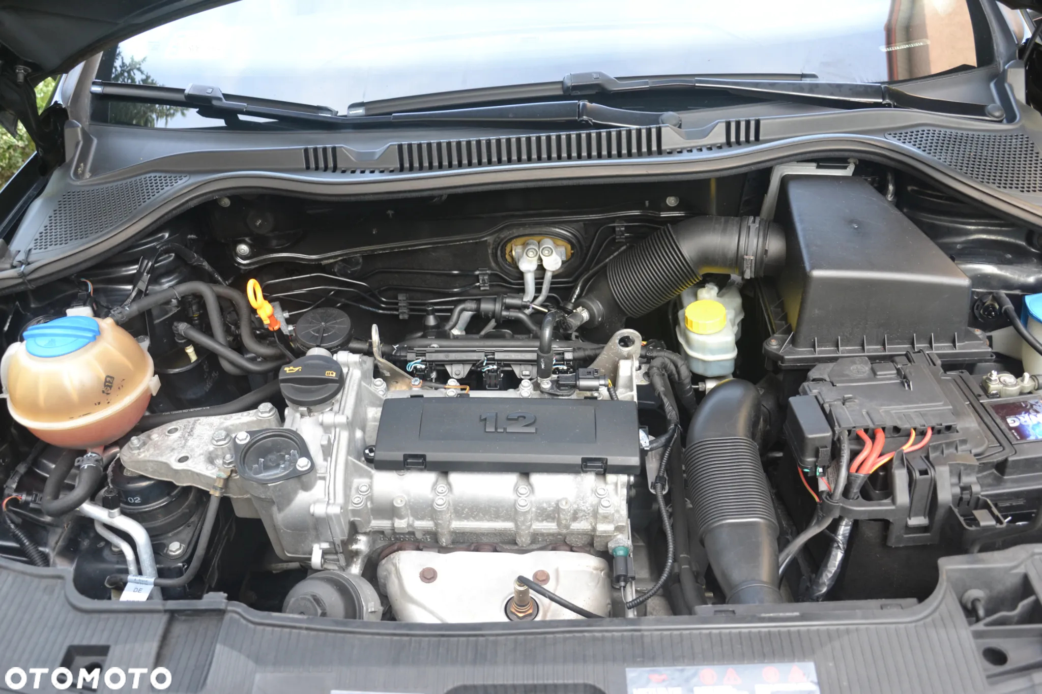 Seat Ibiza 1.2 12V Entry - 10