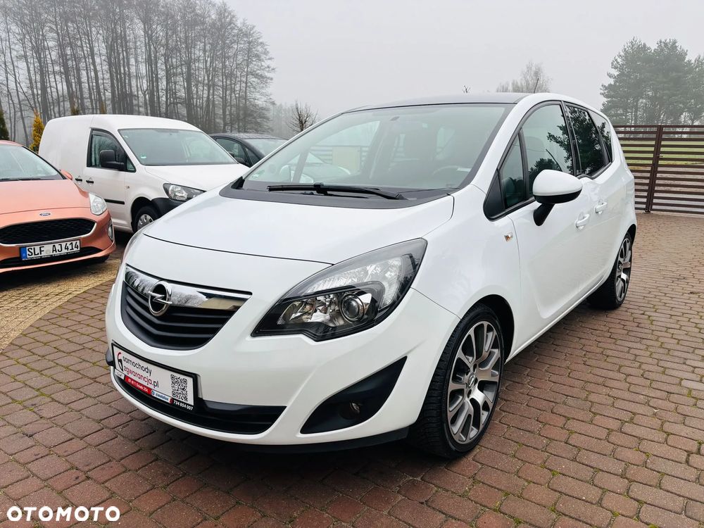 Opel Meriva 1.4 Ecoflex Color Edition - 11