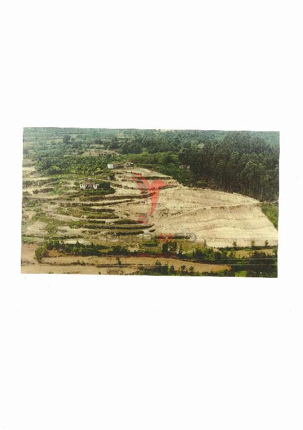 Terreno vistas sobre o rio Douro e Viabilidade construtiva - Grande imagem: 3/3