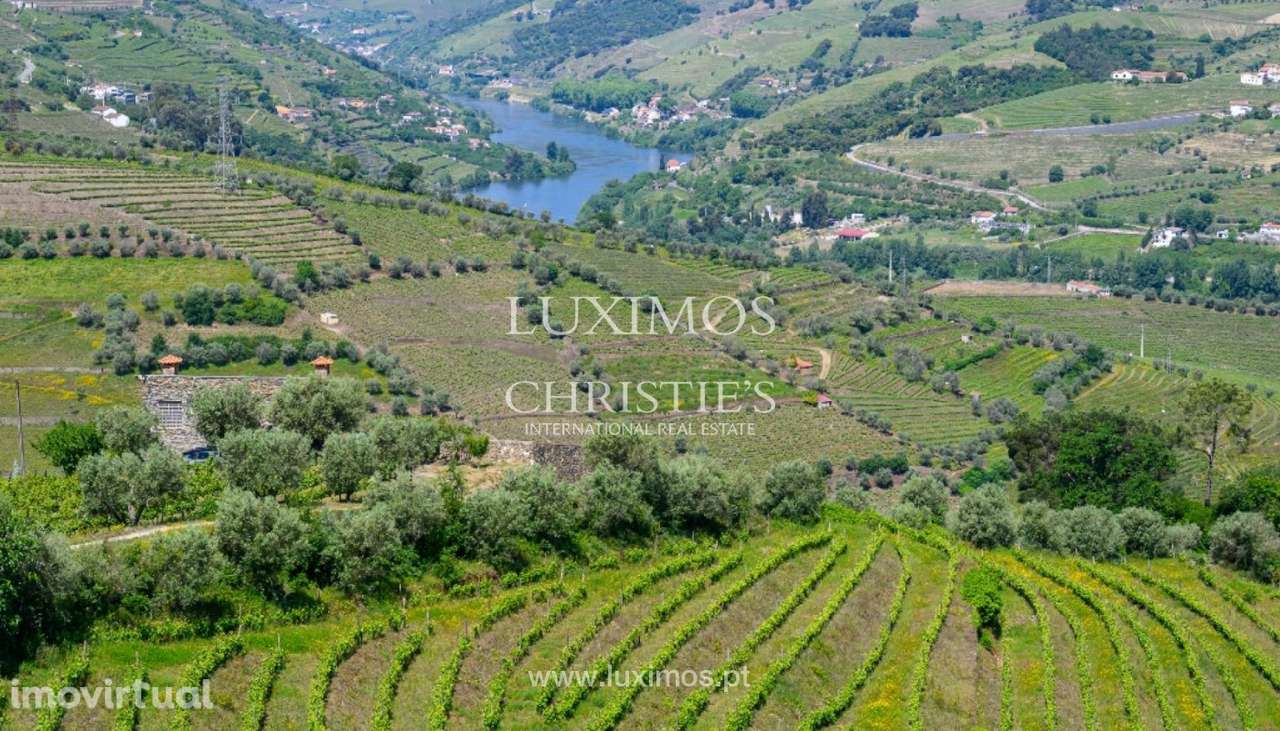 Quinta Vinícola à venda no Douro Valley em Cambres, Lamego, Portugal - Grande imagem: 3/35