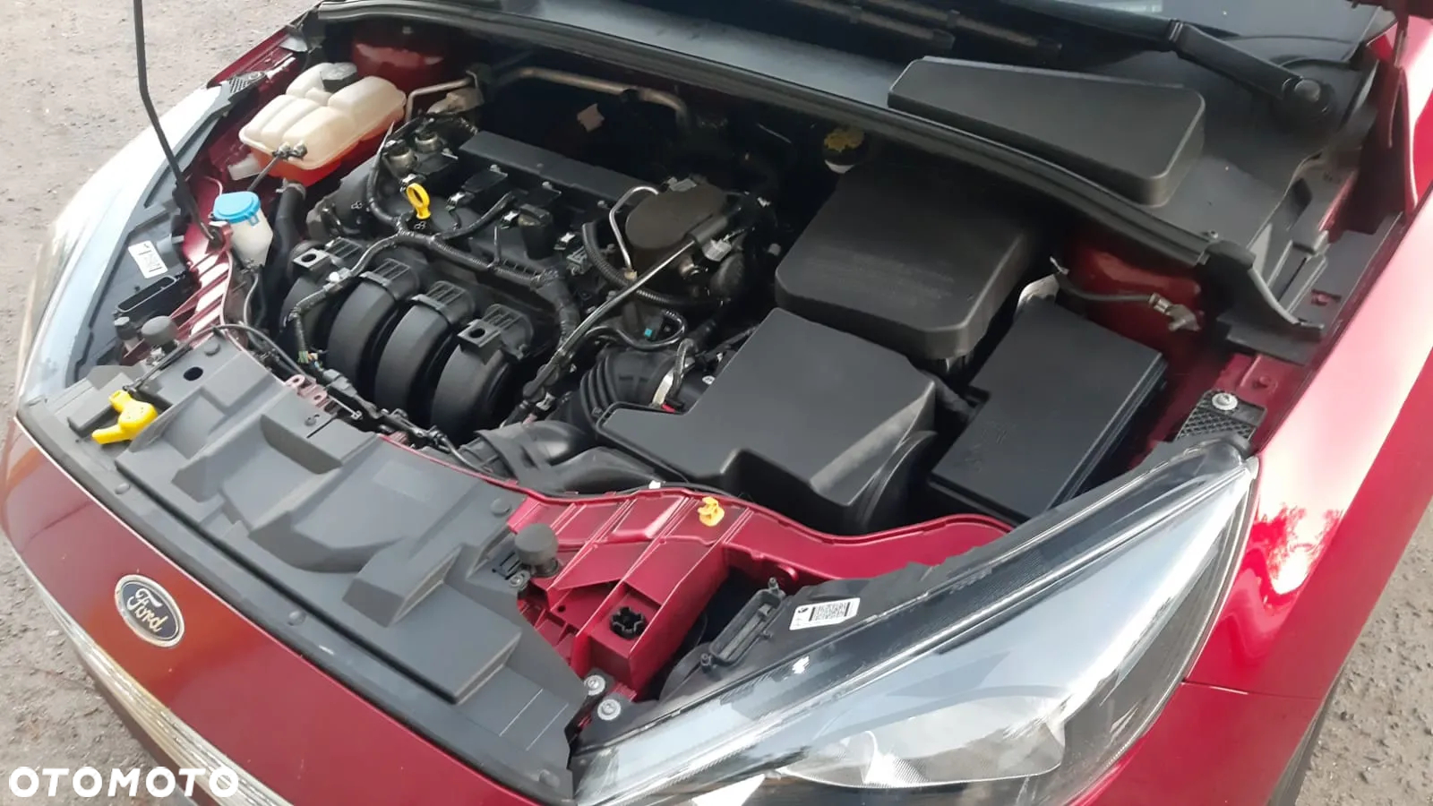 Ford Focus - 8