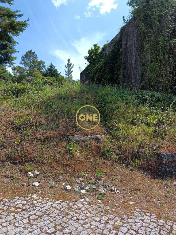 Oportunidade Única! Terreno Amplo para Construção em Coimbra - Grande imagem: 3/14