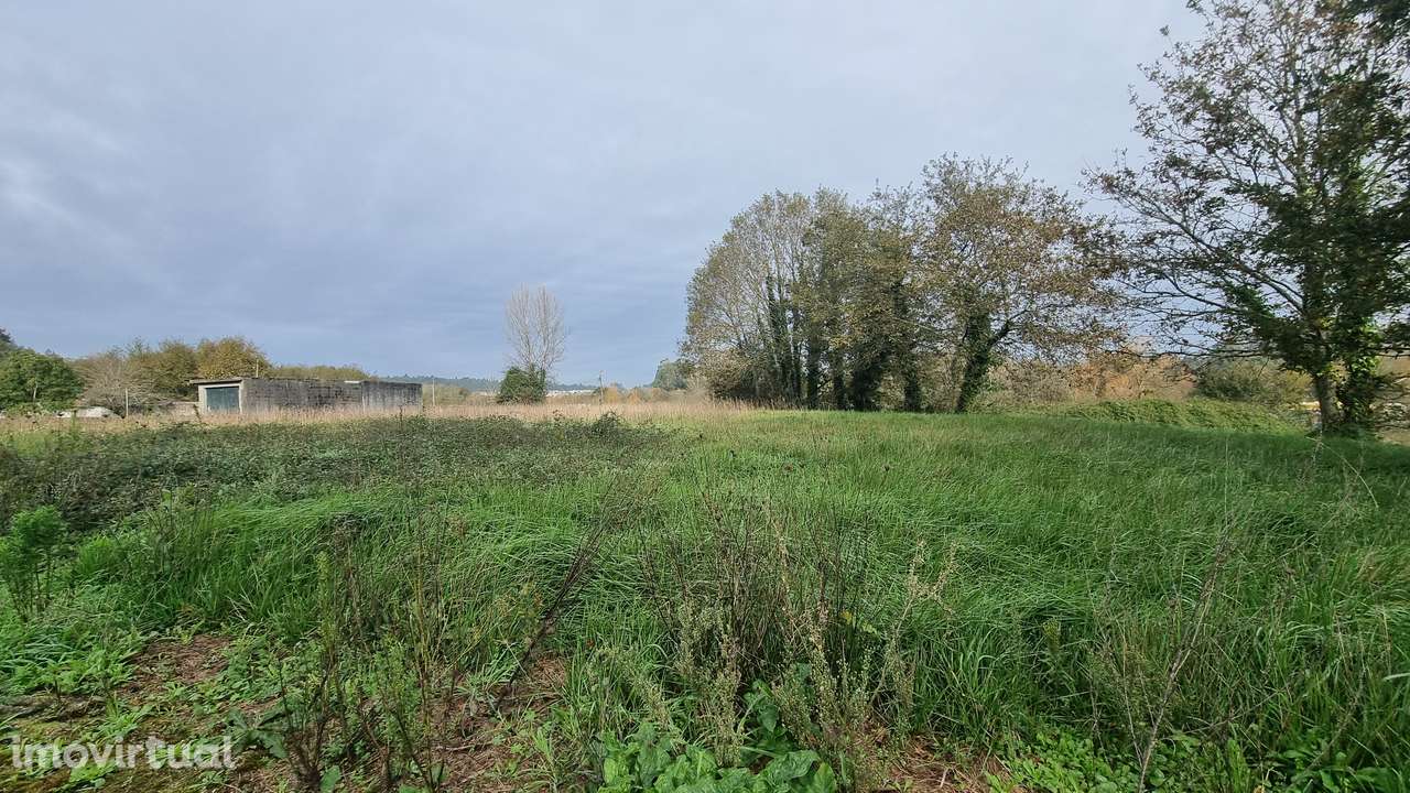 Terreno Rústico em Argoncilhe, Santa Maria da Feira - Grande imagem: 3/13