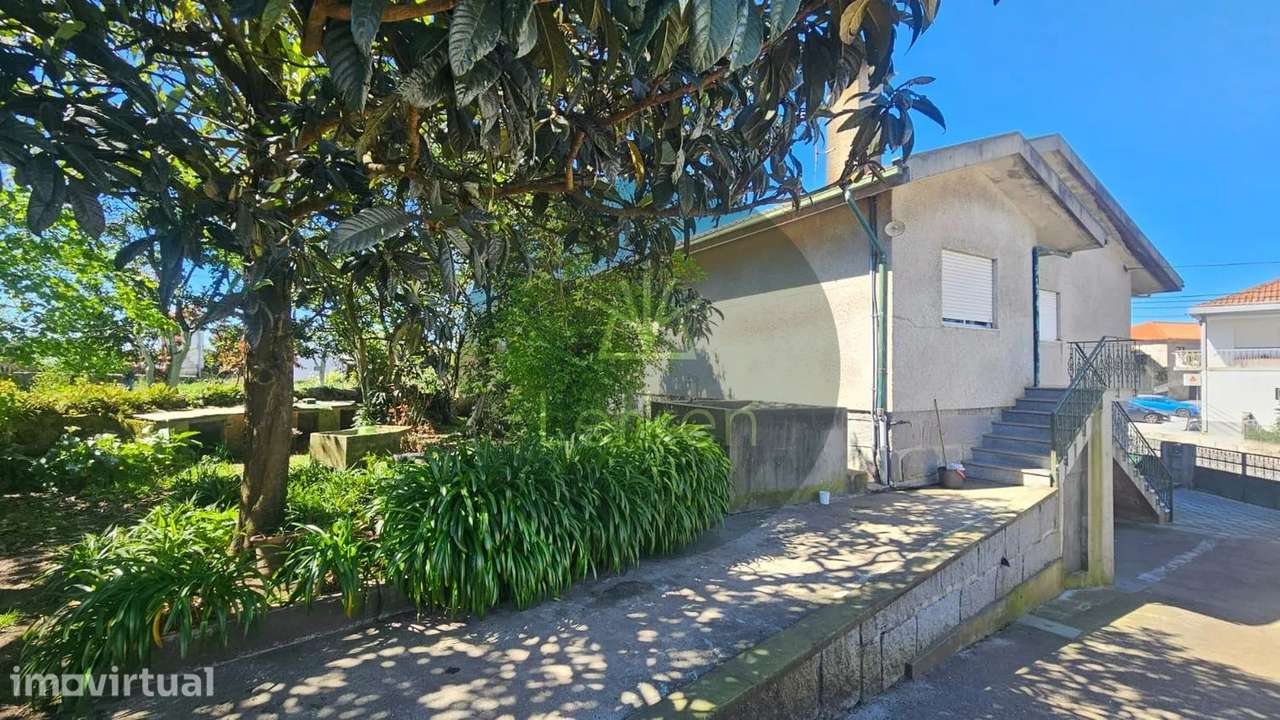 Quintinha com 2.724m² + Casa T3 + Ruína | Potencial de Investimento - Grande imagem: 4/26