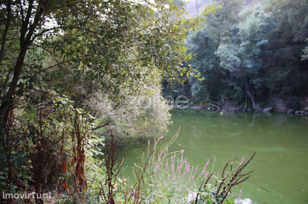 Terreno na margem do Rio Dão - Grande imagem: 3/23