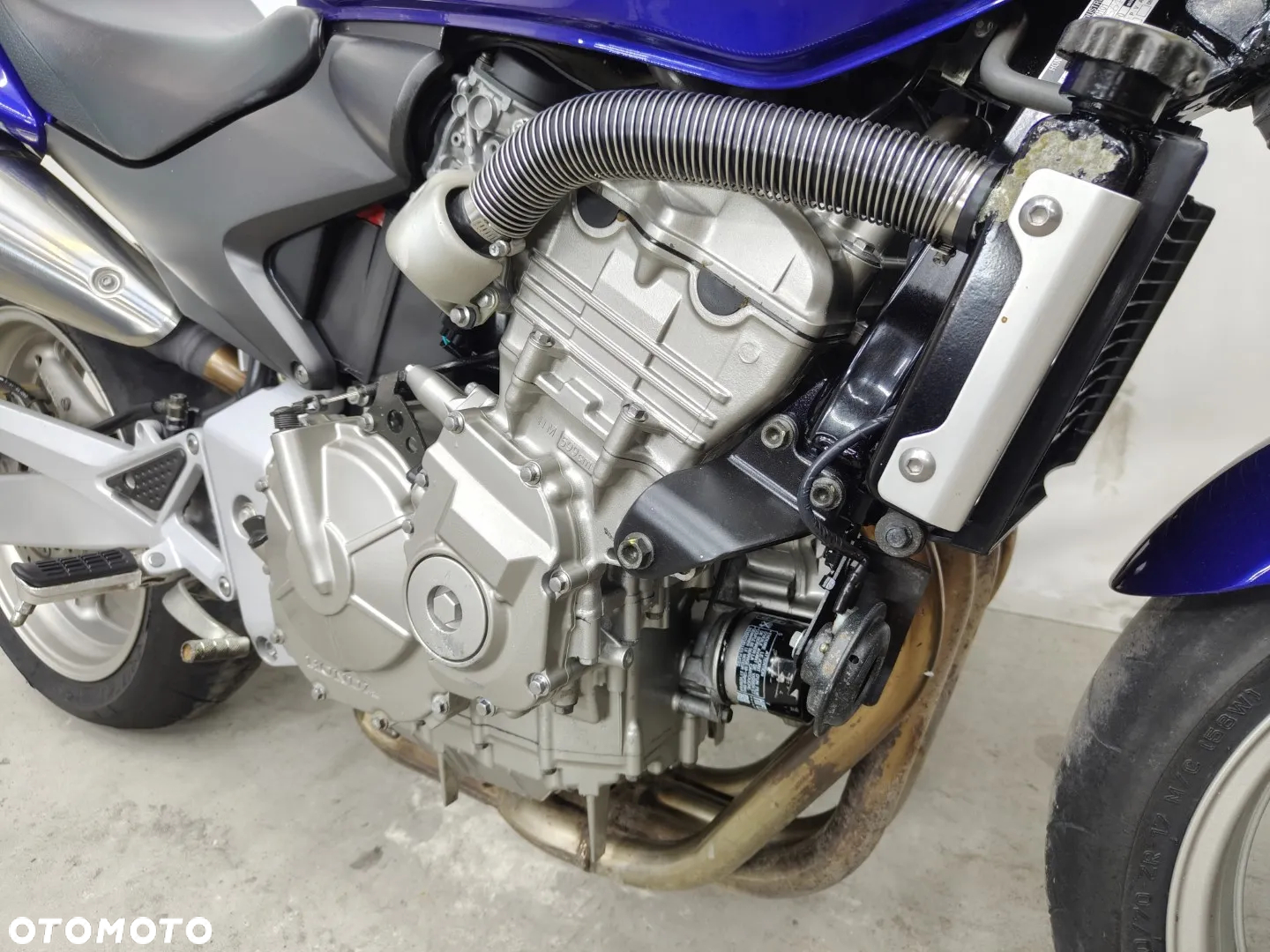 Honda Hornet - 5