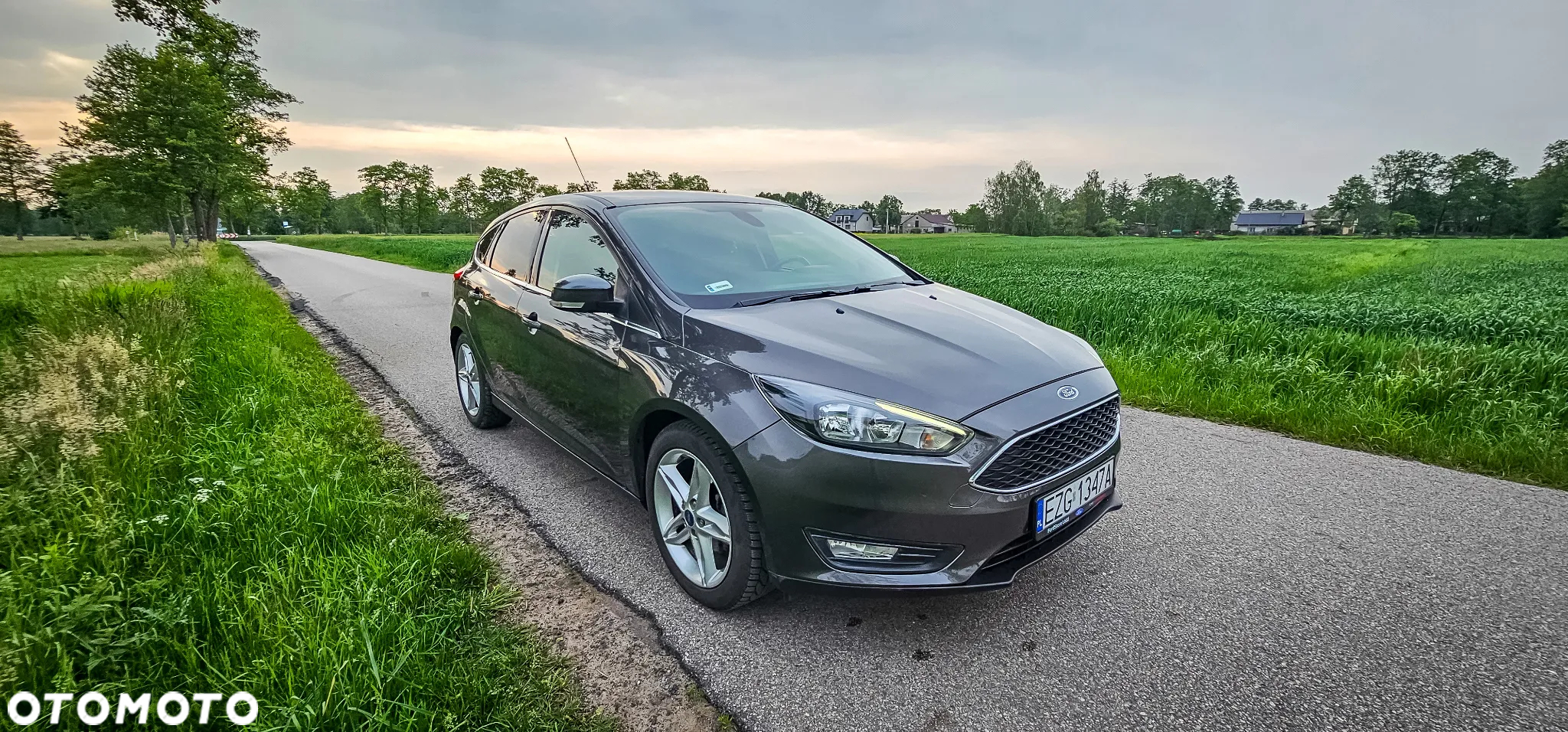 Ford Focus 1.6 Trend Sport - 22