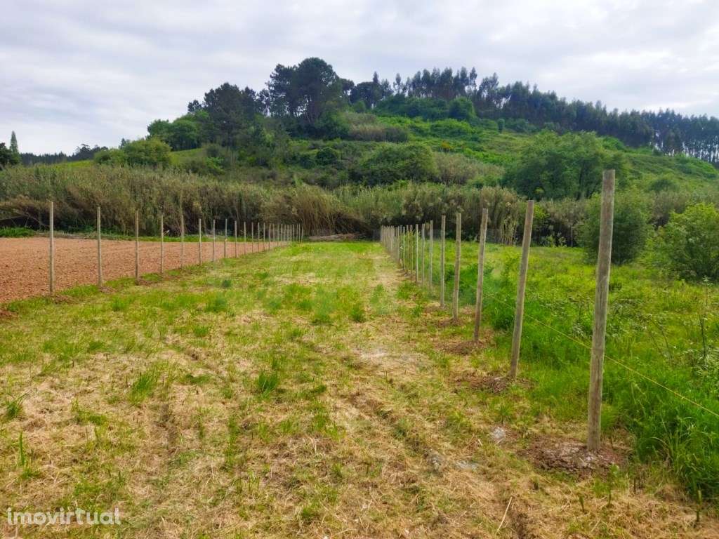 Terreno para construção em Salir de Matos, Caldas da Rainha. - Grande imagem: 4/9