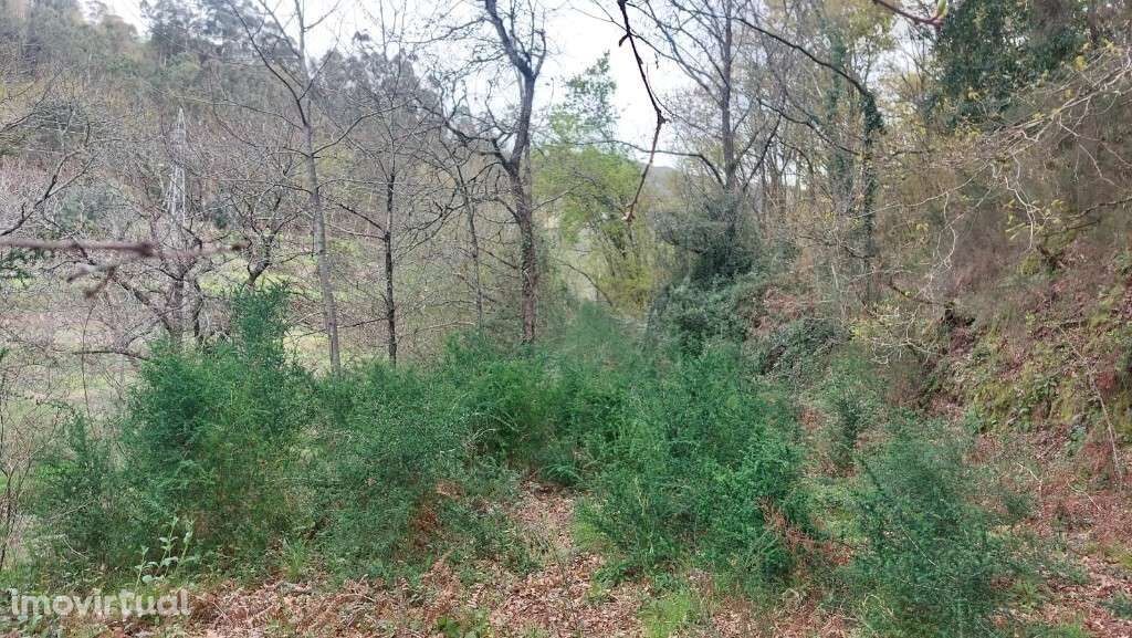 Terreno - Caldelas - Grande imagem: 5/16