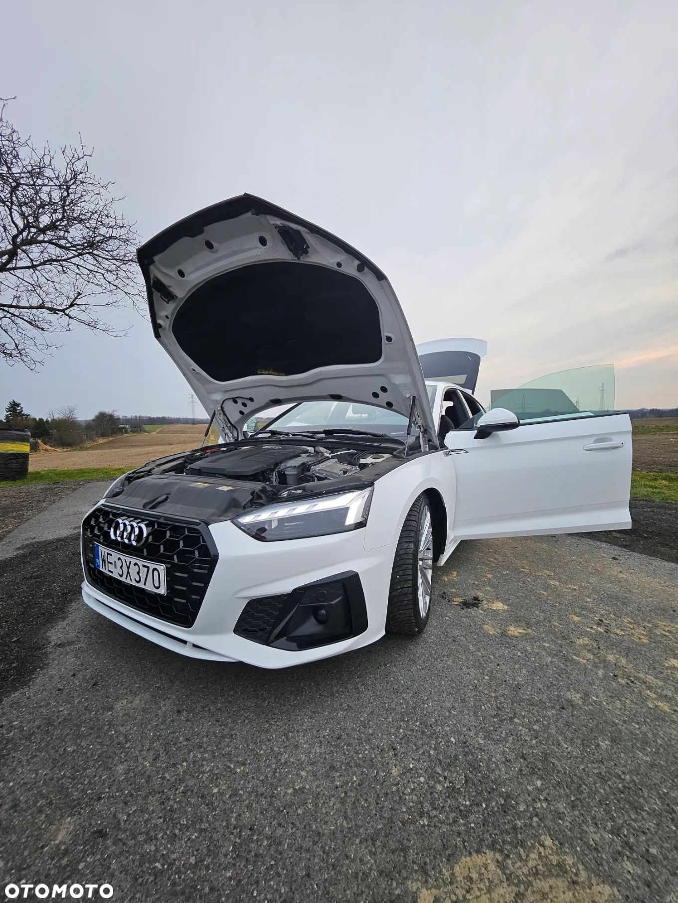 Audi A5 40 TDI Quattro S Line S tronic - 18