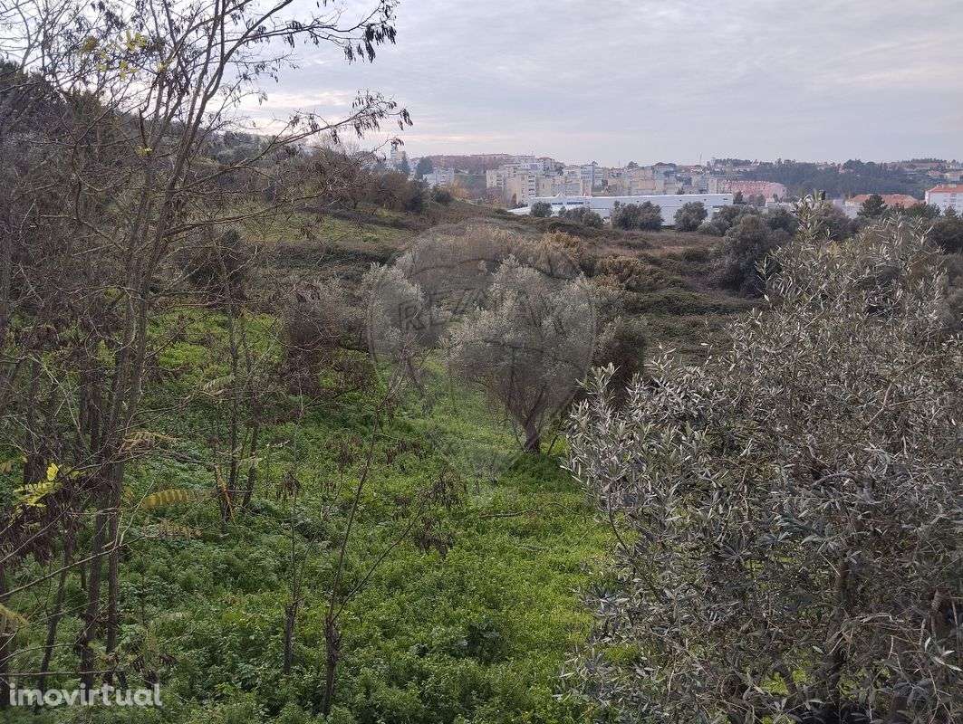 Terreno  para venda - Grande imagem: 5/5