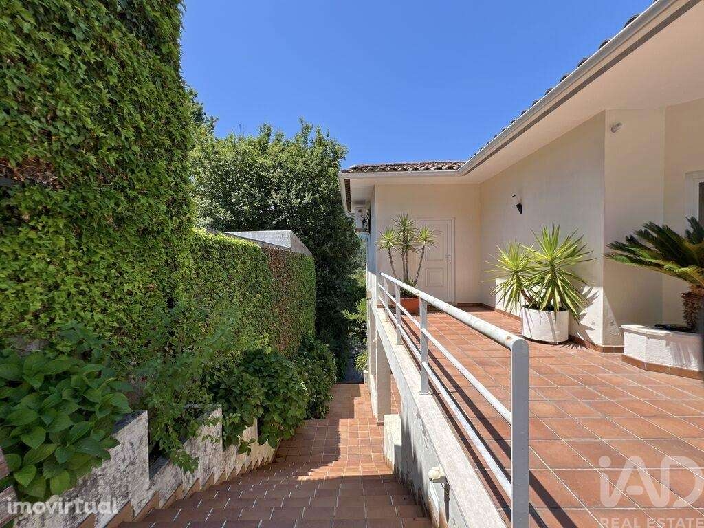 Quinta T4 em Castelões de 643,00 m2 - Grande imagem: 5/30