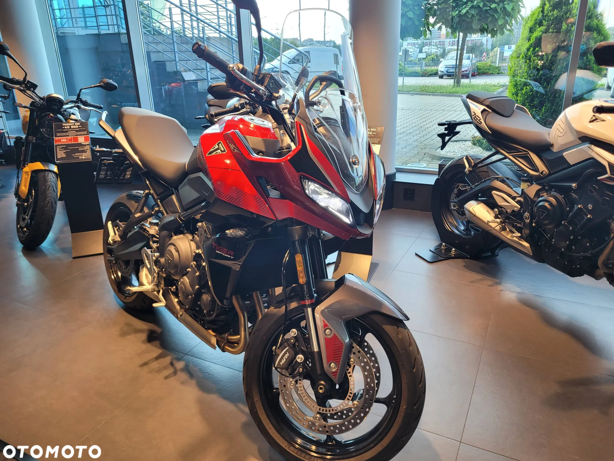 Triumph Tiger