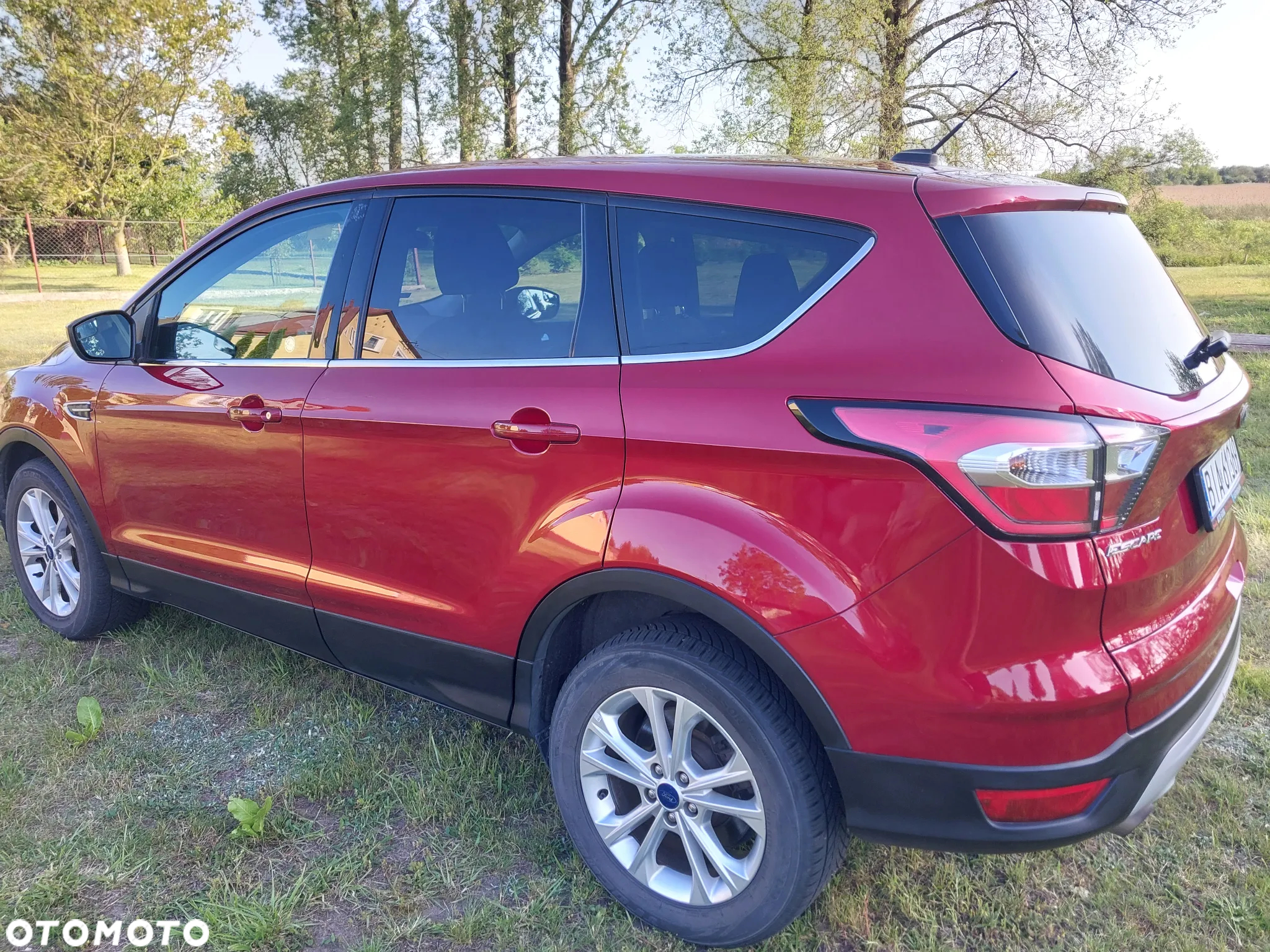 Ford Escape - 12