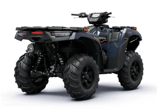 Kawasaki Brute Force - 4