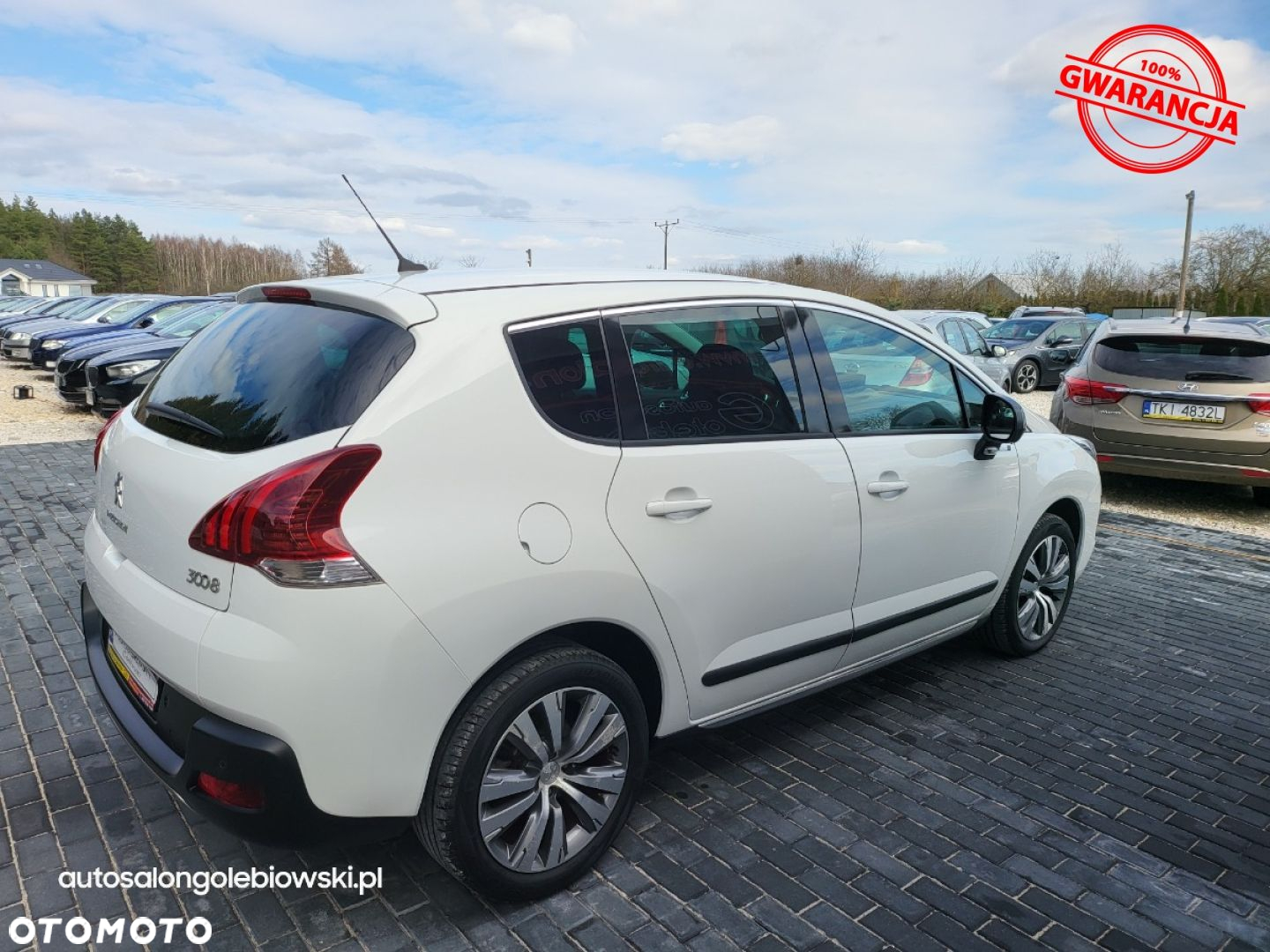 Peugeot 3008 - 13