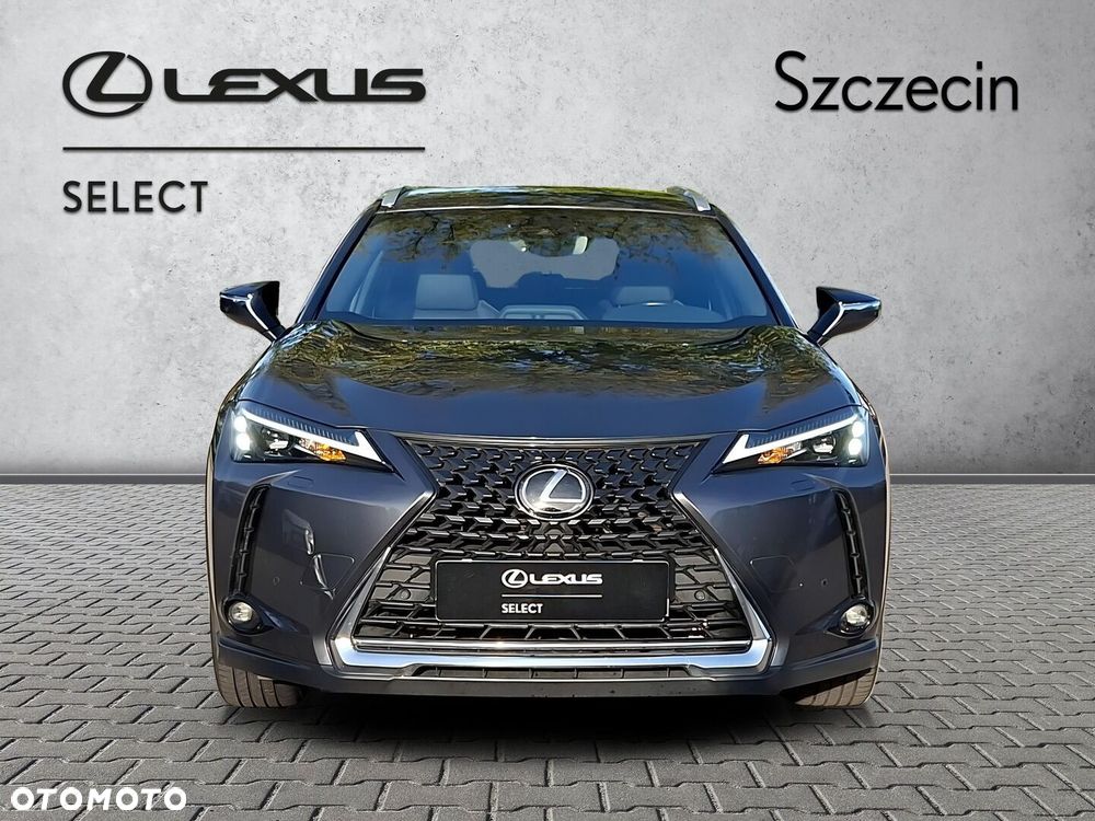 Lexus UX 250h GPF Business 2WD - 8