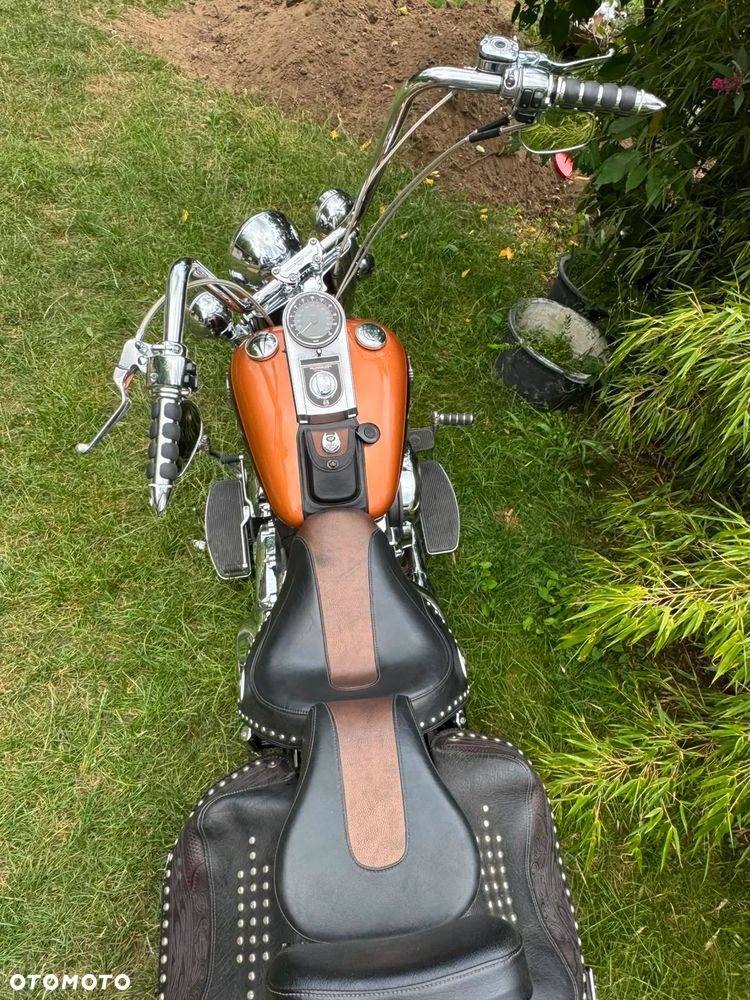 Harley-Davidson Softail - 5