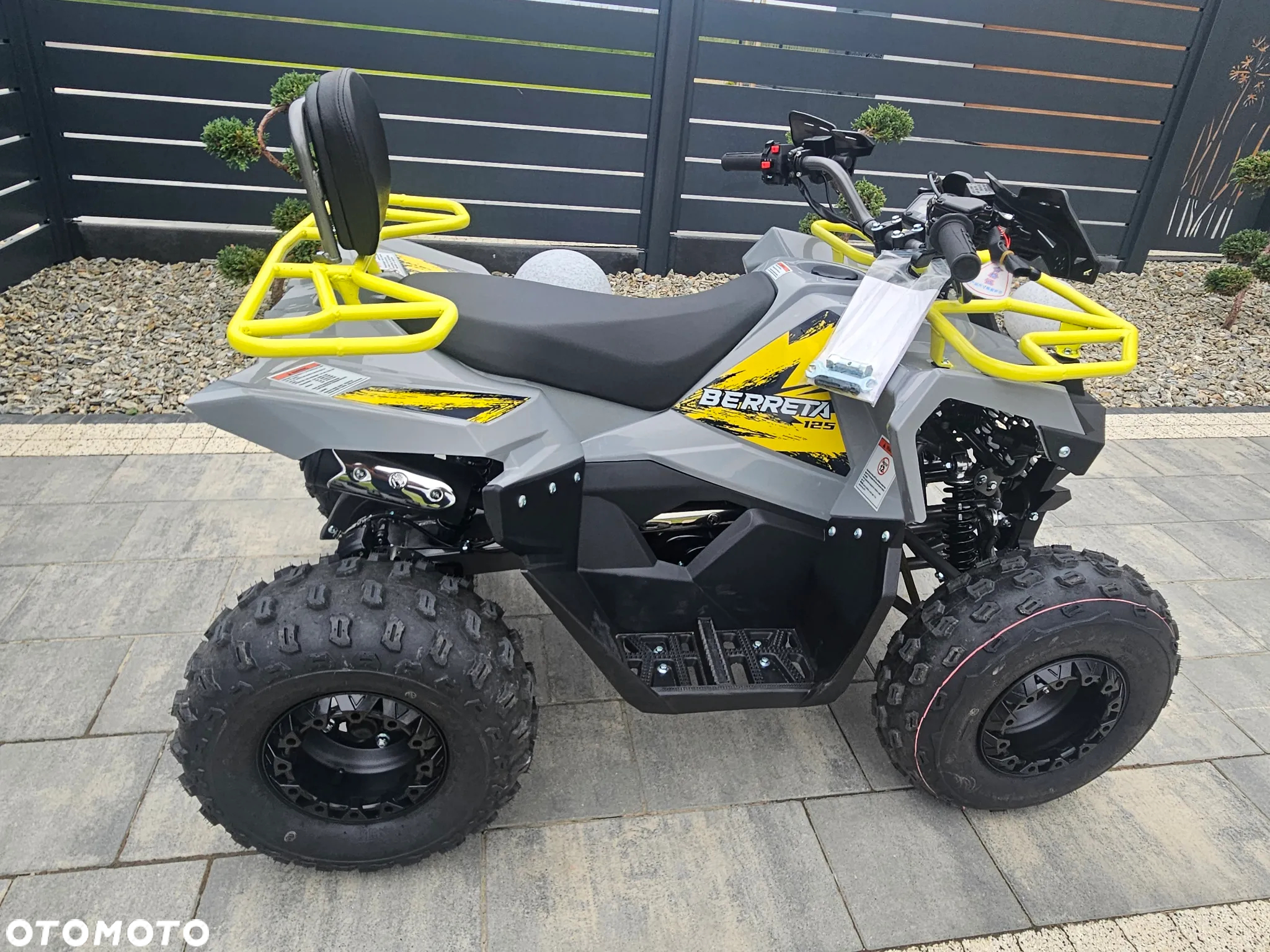 Berreta Mikilon 125