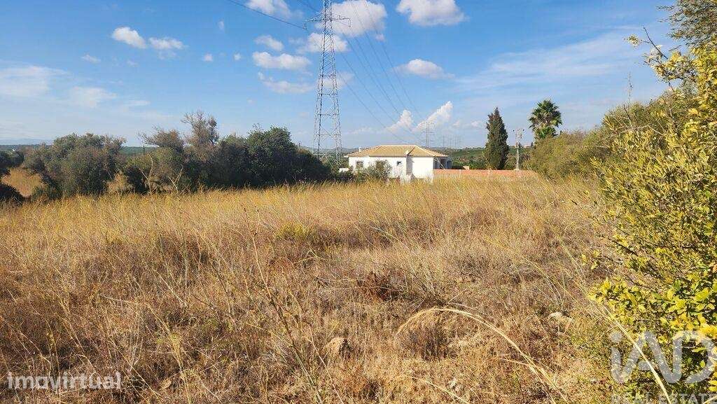 Terreno Agrícola em Algoz e Tunes - Grande imagem: 3/17
