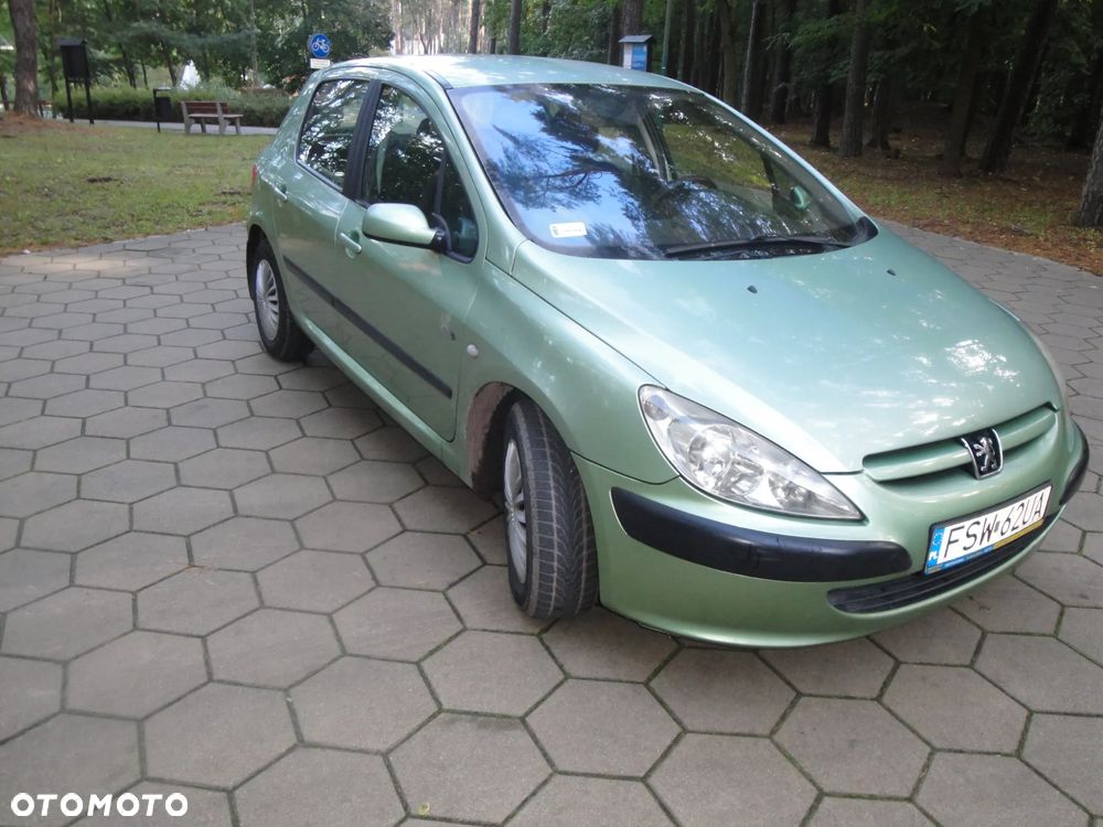 Peugeot 307 1.6 XS Class - 3