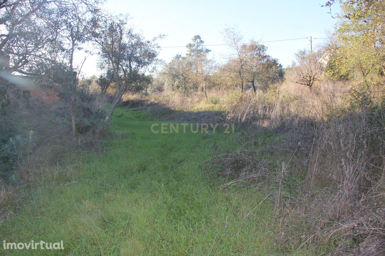 Terreno para construção de moradia - Grande imagem: 5/9