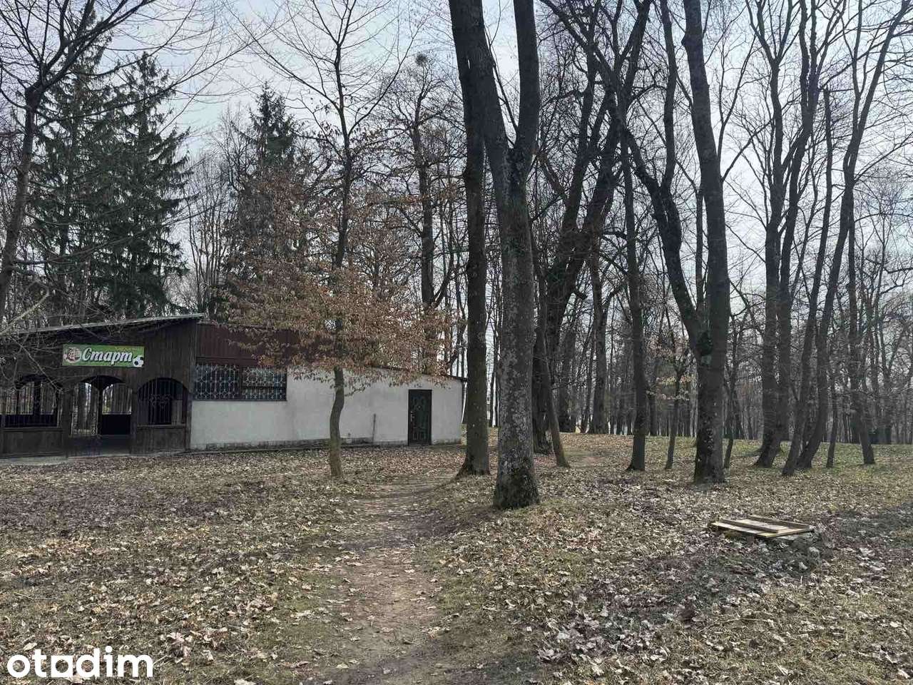 Приміщення кафе з літньою терасою у парковій зоні, Вишнівець - Повне зображення: 3/23