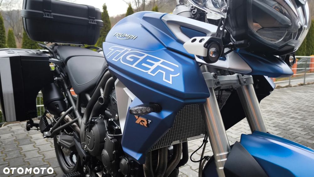 Triumph Tiger - 20
