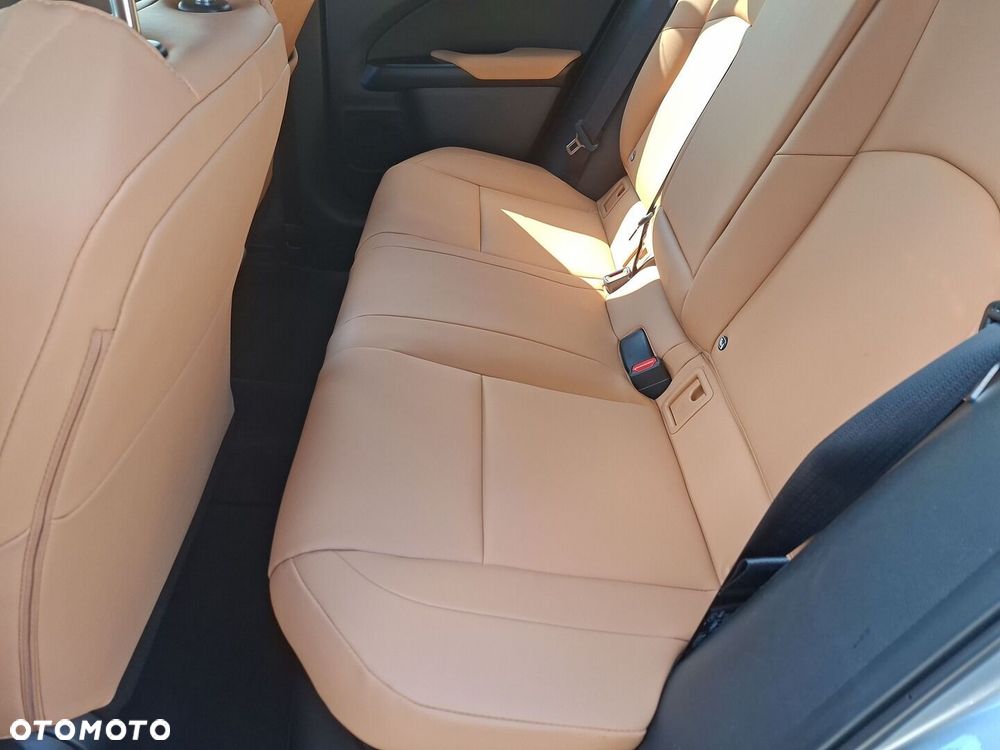 Lexus UX 300h F Sport Design - 15