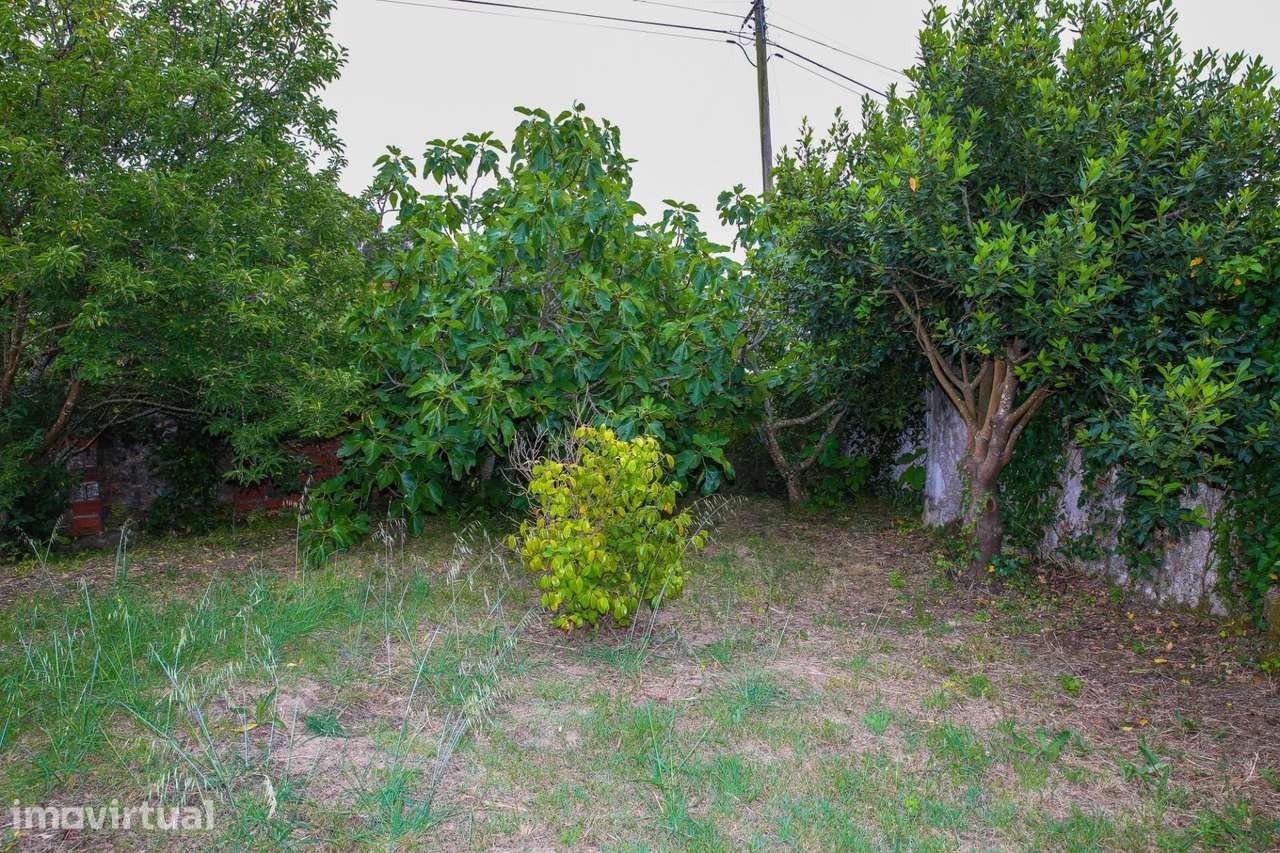 Terreno  com ruinas e árvores de fruto - Grande imagem: 5/9