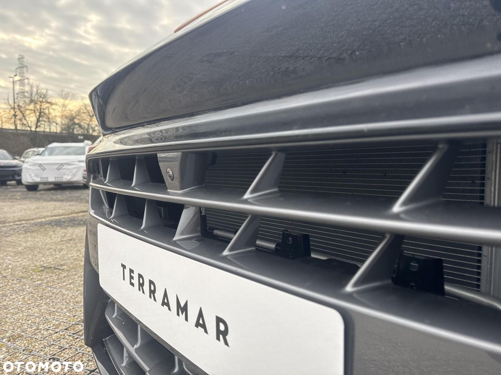Cupra Terramar - 27