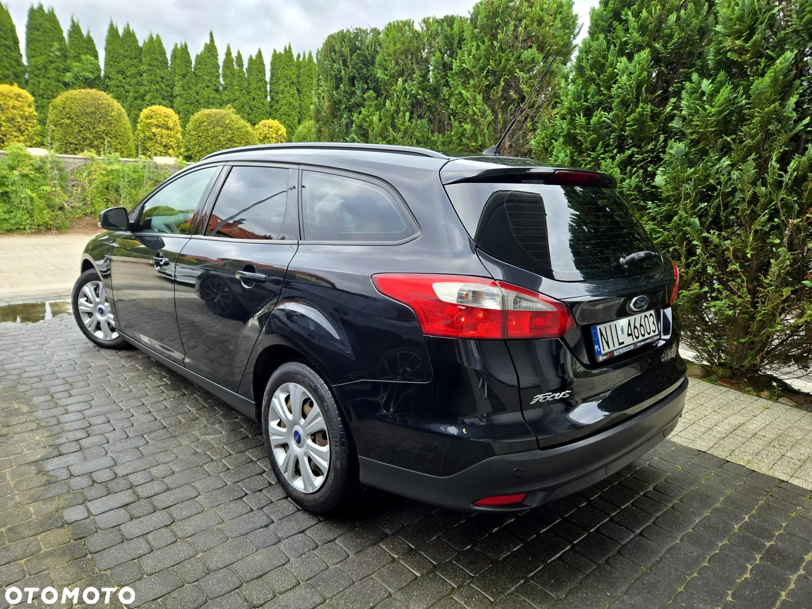 Ford Focus 1.6 TDCi Gold X (Trend) - 3