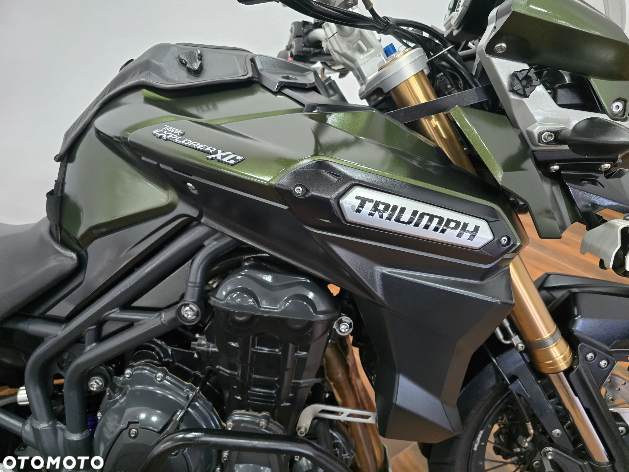 Triumph Tiger - 10