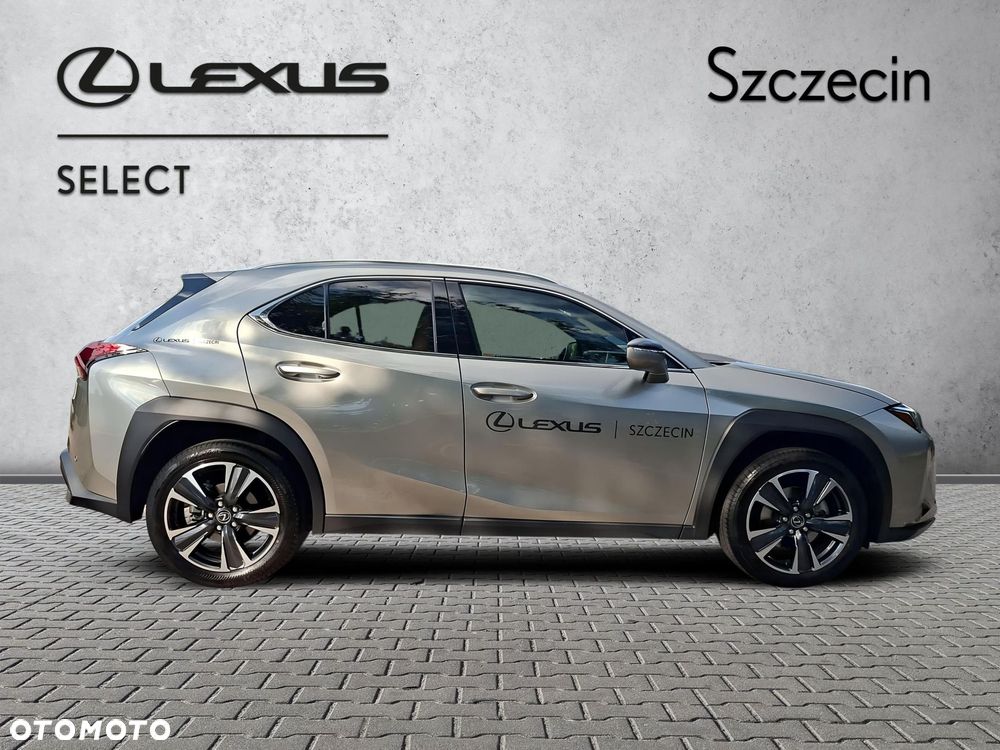 Lexus UX 300h Business - 6