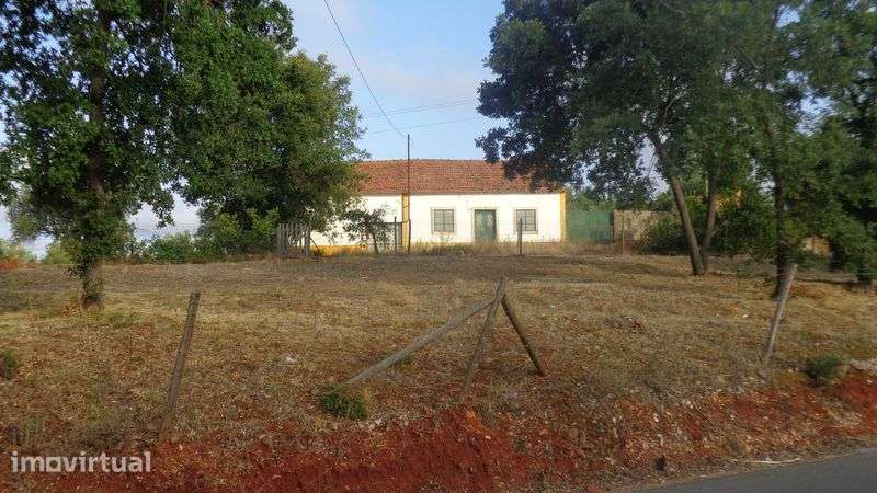 Moradia independente inserida num terreno com 15.000 m2 - Grande imagem: 3/9