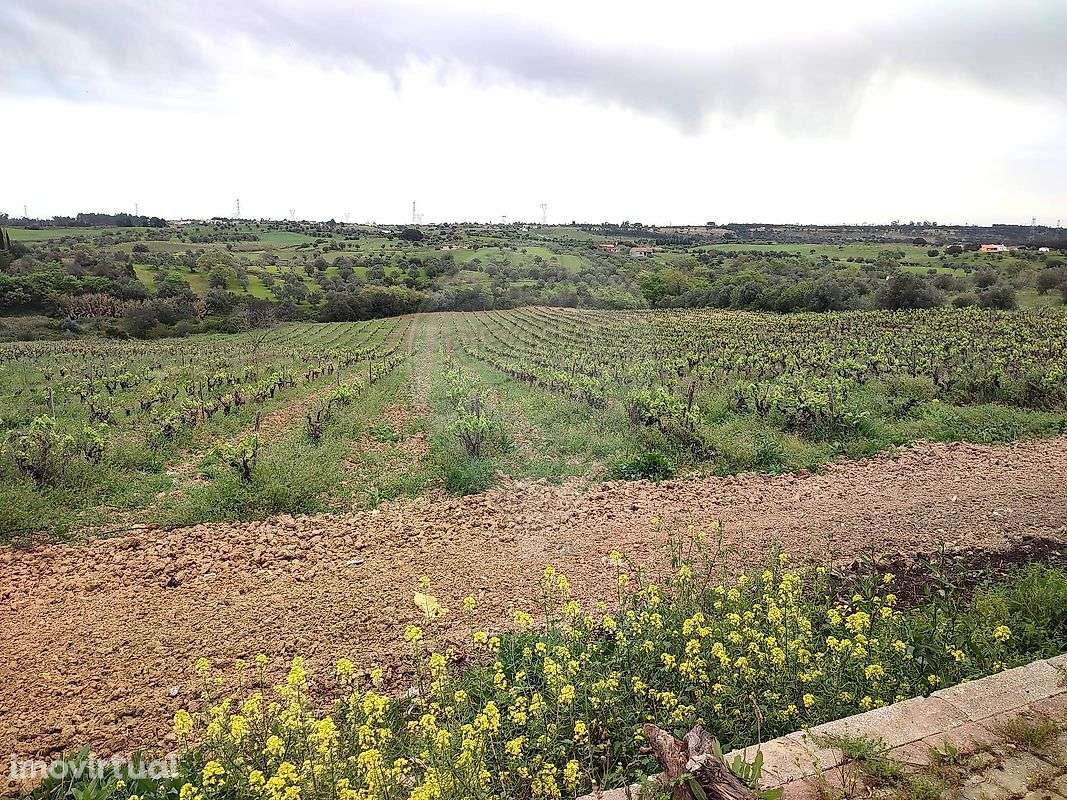 Terreno  para venda - Grande imagem: 5/16