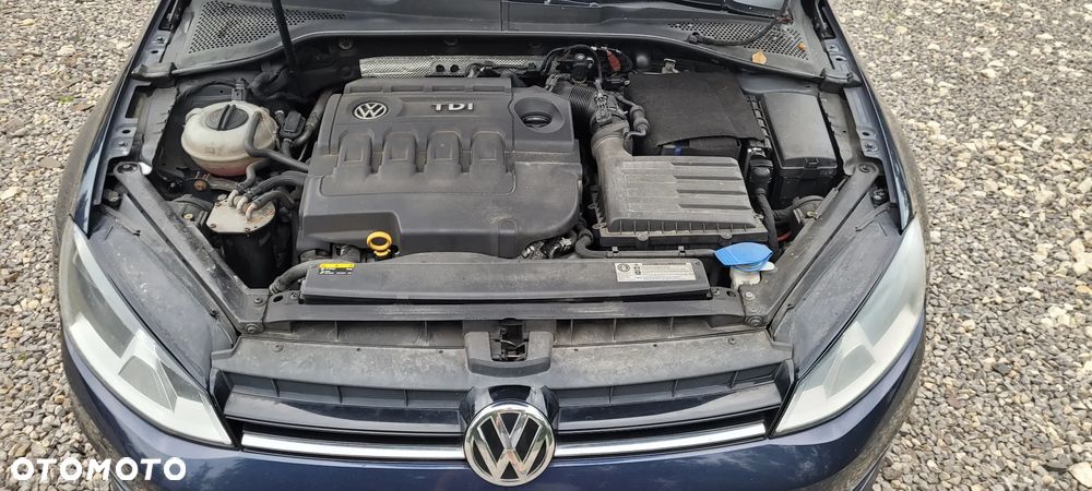 Volkswagen Golf 1.6 TDI BlueMotion Technology Trendline - 33