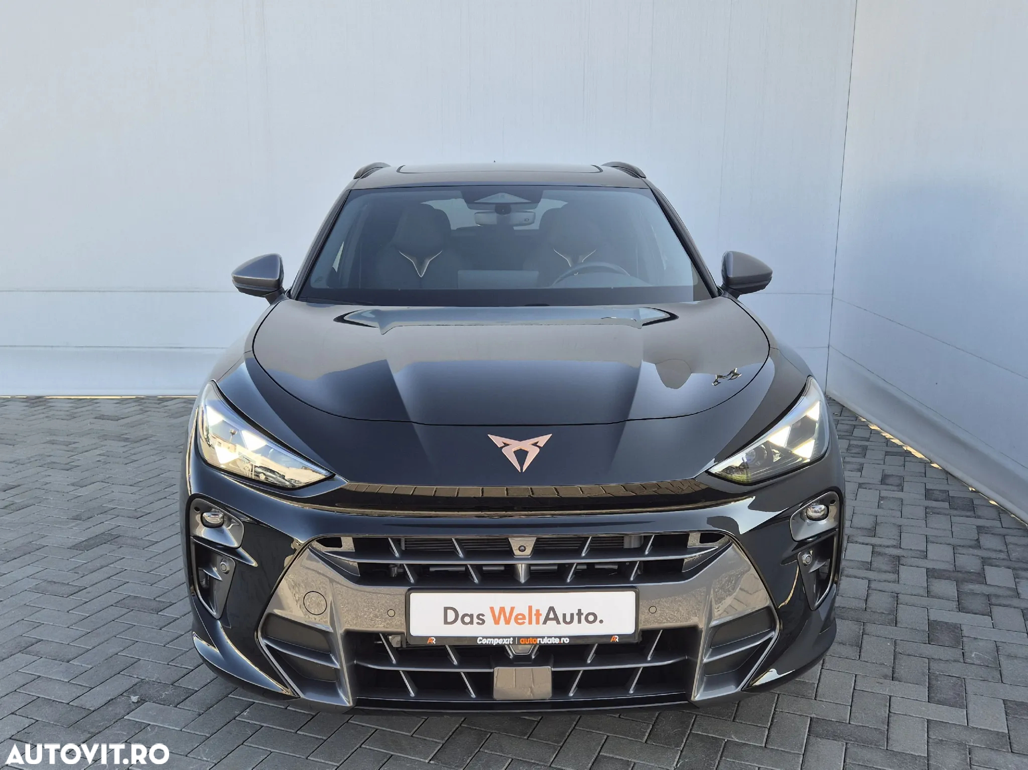 Cupra Terramar - 8